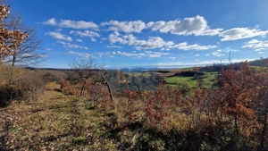 Teren de vânzare in Groși, Maramureș, 55 ari  - imagine 5