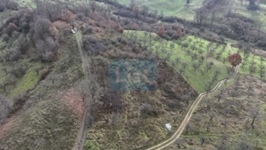 Teren de vânzare in Groși, Maramureș, 55 ari  - imagine 3