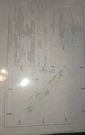 Proprietar | Teren 5000 mp Afumați - Str. Trandafirului | Utilități | Ideal Hală   Depozit - imagine 5