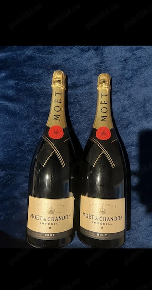 Vând șampanie moet chandon