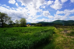 Teren 9000 mp intravilan Piatra Neamt , ideal investitie  - imagine 8