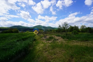 Teren 9000 mp intravilan Piatra Neamt , ideal investitie  - imagine 10
