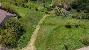 Teren 9000 mp intravilan Piatra Neamt , ideal investitie  - imagine 6