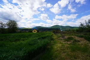 Teren 9000 mp intravilan Piatra Neamt , ideal investitie  - imagine 13