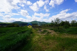 Teren 9000 mp intravilan Piatra Neamt , ideal investitie  - imagine 12
