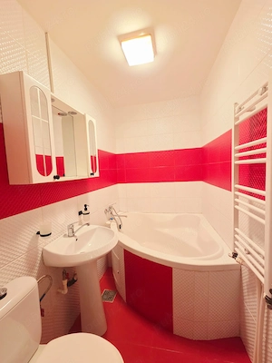 Apartament cu o camera Ic Frimu CT mobilat si utilat - imagine 9