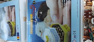 Incubator păsări