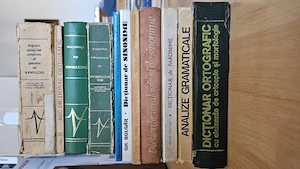 Lot 11 Cărți Limba Română: Dicționare de Sinonime, Ortografice, Gramatică și Stilistică