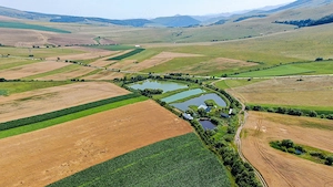 Proprietate spectaculoasă de 31.500 mp, cu iazuri și case locuibile - imagine 2
