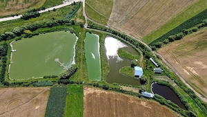 Proprietate spectaculoasă de 31.500 mp, cu iazuri și case locuibile - imagine 3