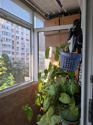 Apartament 2 camere Salajan Theodor Pallady comision 0% - imagine 8