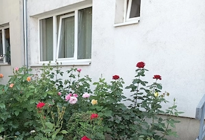 Spatiu comercial-apartament parter bloc - imagine 2