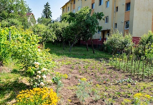 Îmi vând casa - imagine 4