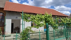 Proprietate rară în Nădlac – Casa ultracentral 7 camere - imagine 4