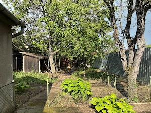 Proprietar, vand casa individuală oras Ciacova - imagine 4