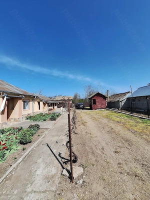 Casa la Țară Movila Miresii  - imagine 4