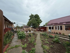 Vând  casă localiatea Hernecova județTimiș - imagine 4