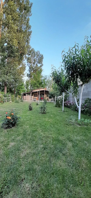 Teren și casa de vacanta cu iesire la lacul Milcov.  - imagine 6