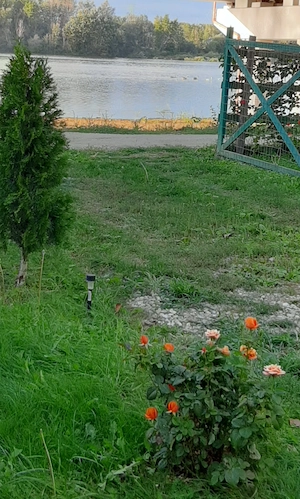 Teren și casa de vacanta cu iesire la lacul Milcov.  - imagine 7