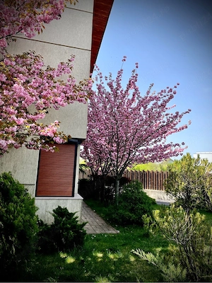 vanzare duplex sector 1