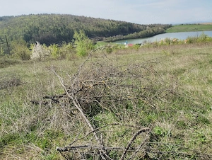 vând teren Moacșa, lac Pădureni