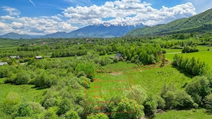 Teren intravilan 500 mp sau 1000 mp în Zarnesti-Tohanita incepand de la 17500 euro