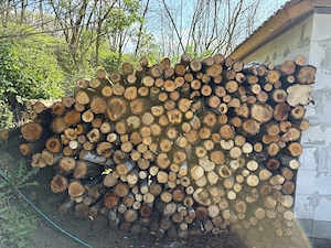 Lemne de foc de vanzare