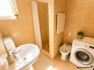 Casa cu farmec autentic, anexe, 1.100 mp teren roditor, Saulia, Mures - imagine 6