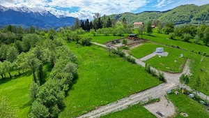 Teren intravilan zona Bran-Tohanita, judetul Brasov intre 500 si 1000 mp la 5 km de Moieciu 