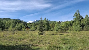 Teren intravilan Viștișoara Brașov - imagine 9