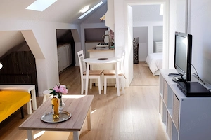 Inchiriez apartament 2 camere tip studio în Bucurestii Noi, direct proprietar - imagine 10