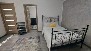 Afacere -2 apartamente de lux Băile Herculane  - imagine 3