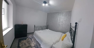 Afacere -2 apartamente de lux Băile Herculane 
