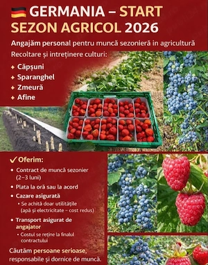 Este nevoie urgent de cupluri la  sparanghel 