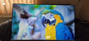 Grundig 75  Google TV 4K UHD   Garantie 12 luni   Factura cu TVA