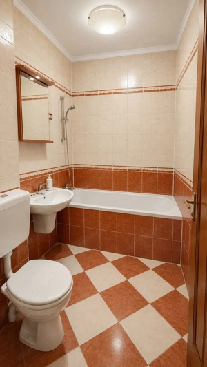 Apartament 2 camere Parcul Circului, parter, vedere spre parc - imagine 4