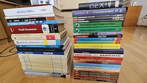 Lot 56 Cărți Premium & Colecție   Arhitectură, Eseistică, Literatură Clasică (Stare Excelentă)