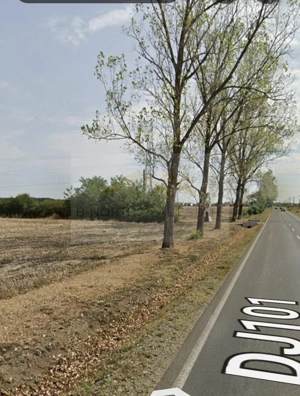 Teren de vanzate-intravilan -Balotesti-151.021 mp - imagine 3
