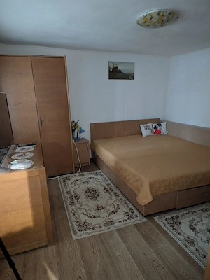 Casă de vânzare, Mihai Bravu, Giurgiu, locuinta permanenta sau casa de vacanta - imagine 8