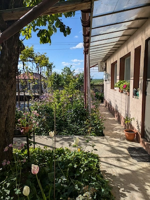 Casă de vânzare, Mihai Bravu, Giurgiu, locuinta permanenta sau casa de vacanta - imagine 2