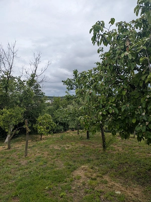 Casă de vânzare, Mihai Bravu, Giurgiu, locuinta permanenta sau casa de vacanta - imagine 10