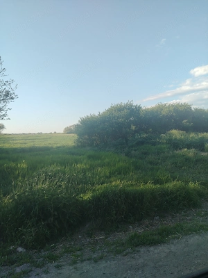 Teren intravilan de vânzare   4.290 m    zonă liniștită - imagine 2