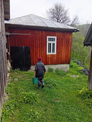 Casă de vânzare comuna Paltin jud Vrancea  - imagine 4