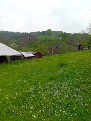 Casă de vânzare comuna Paltin jud Vrancea  - imagine 8