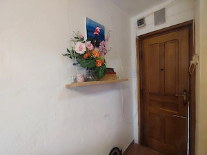 Garsoniera la cheie, etaj 2, Vlaicu Fortuna - imagine 3
