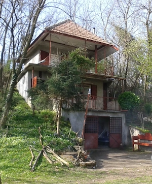 Casa de vacanta cu teren cu vita de vie