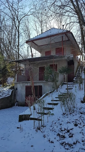 Casa de vacanta cu teren cu vita de vie - imagine 2