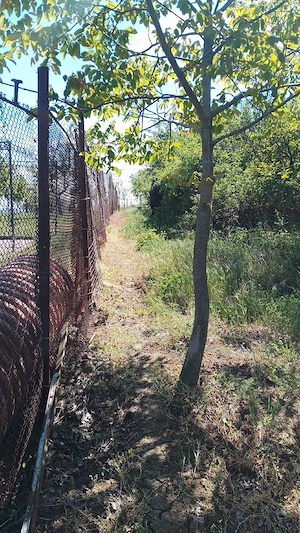 Vand un teren extratabular pe dealul Viilor in Oradea 