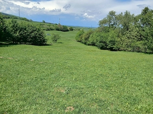 vand teren extravilan  suprafata 3852  - imagine 2