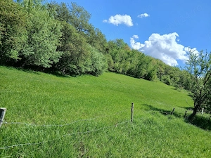 vand teren extravilan  suprafata 3852 